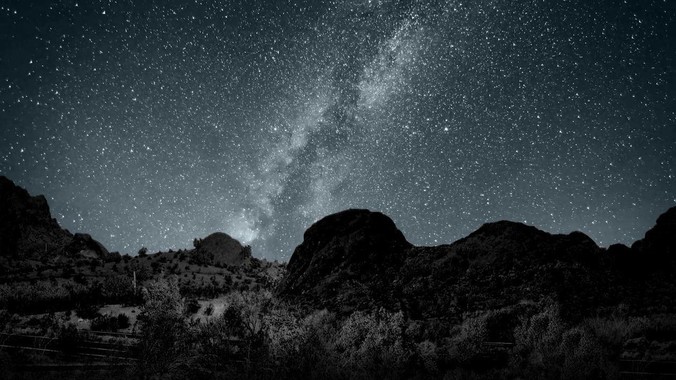 普洱茶投资分析：如何打好“预售”这张牌